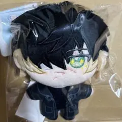ニトロキラル　スロウダメージ　キラメモ　ぬいパル　ぬいぐるみマスコット　トワ