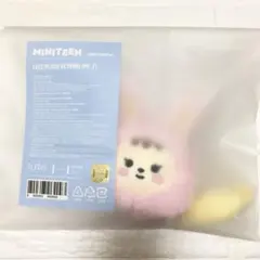 MINITEEN FACE PLUSH KEYRING トラム ジョンハン