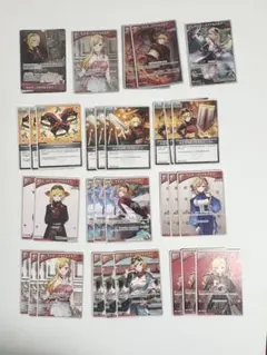ホロカ カエラ・コヴァルスキア OSR以下 묶음 판매