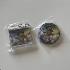 ELLY 缶バッジ　CDキーホルダー