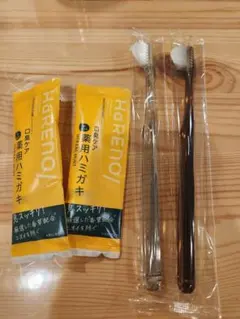 【おまけ付き 新品未使用】奇跡の歯ブラシポケットイン大人用　2本セット