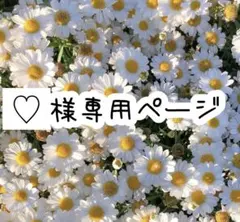 ♡様専用ページ