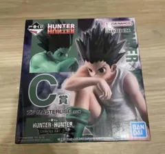 一番くじ HUNTER × HUNTER C賞 ゴン