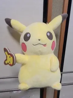 ポケモンAG ポケパーク限定 一番くじ ピカチュウ ジラーチ ぬいぐるみ