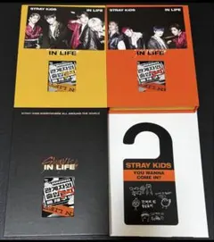 IN生 GO生 限定盤 通常盤 アルバム まとめ売り Straykids スキズ