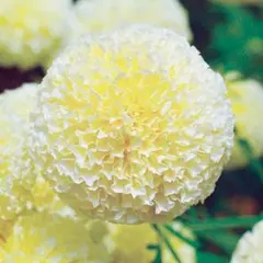 KOMO様 リクエスト 3点 まとめ商品