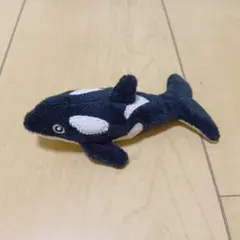ぶ*ド様 名古屋港水族館￼シャチのぬいぐるみキーホルダー - メルカリ