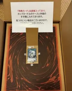 遊戯王OCG カップヌードル簡易融合 20食入り コラボカード付き限定セットx1