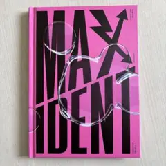 straykids スキズ　アルバム　MAXIDENT リノ