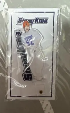 straykidsヒョンジン フォトスティック