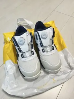 ウィンジョブ® CP209 BOA® 3E相当 ASICS 安全靴