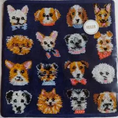 【連休価格】フェイラータオルハンカチ