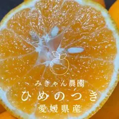 レア品種✨愛媛県西宇和産　ひめのつき　減農薬8キロ