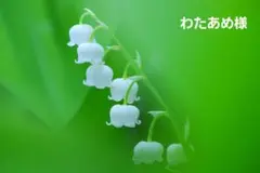 わたあめ様オーダーページ