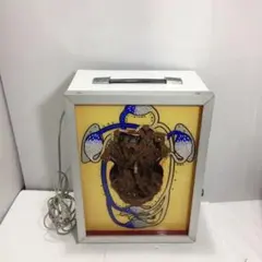 心臓模型 動く 光る 人体模型 レトロ