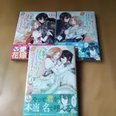 Item thumbnail for item 8600f737-9952-41c9-8b5f-6557347bd435