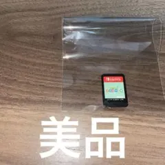 エ*ビ様 Nintendo Switch あつまれどうぶつの森 ソフト