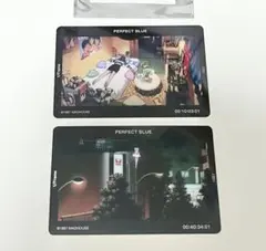 パーフェクトブルー　perfect blue 1/Frame