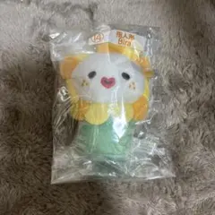 cororo様 リクエスト 2点 まとめ商品