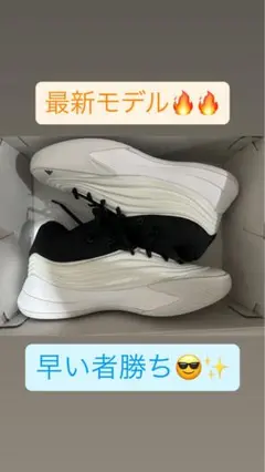 デイム10 Dame10 25.0cm 【早い者勝ち】