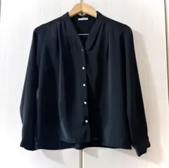 ハニーズ Vネック 長袖ブラウス シルバーボタン(M)