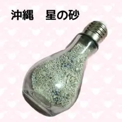 沖縄　星の砂　ガラス置物　手作り