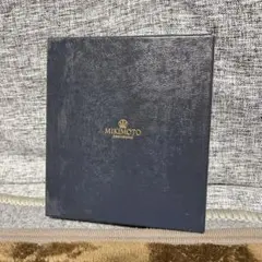 Item thumbnail for item 651ccf25-e251-41f9-ad4f-9f89b38c44c1