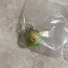 スモモノウチ　めじるしアクセサリー　こびとづかん