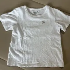 アーノルドパーマ Arnold Palmerホワイト Tシャツ