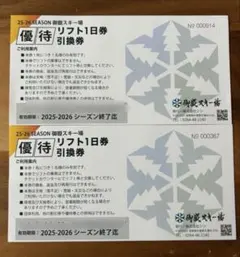 御岳スキー場1日リフト引き換え券 2枚 2026年最新】御嶽スキー リフト券の人気アイテム - メルカリ