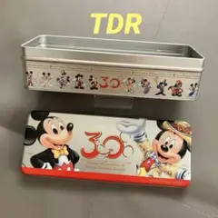 サイト内希少。TDR 30周年 空き缶