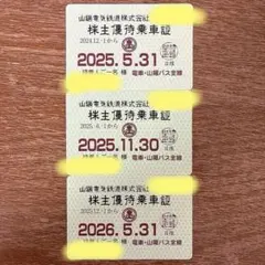 【乗車不可】使用済／有効期限切れ　山陽電鉄　株主優待乗車証　コレクション用　3枚のサムネイル