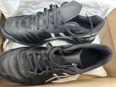 アシックス DS LIGHT CLUB TF WIDE 25.5cm