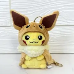 K*s様 イーブイポンチョのピカチュウ ぬいぐるみ イーブイ ポンチョ