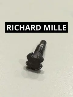 Richard mille リシャールミル　4つ型　チタン　ネジのサムネイル