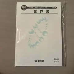 2026年最新】河合塾 世界史の人気アイテム - メルカリ