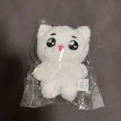 2025年最新】テヨン ぬいぐるみ nctの人気アイテム - メルカリ