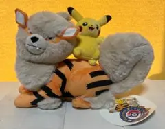 2025年最新】オキナワピカチュウの人気アイテム - メルカリ