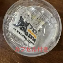 嵐 ガチャガチャ ツアーロゴマグネット アラフェス2020