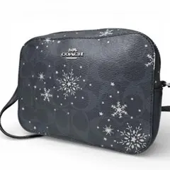 【美品】COACH コーチ ショルダーバッグ カメラバッグ シグネチャー
