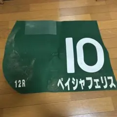1999年 天皇賞(秋) スペシャルウィーク レプリカゼッケン 未使用競馬