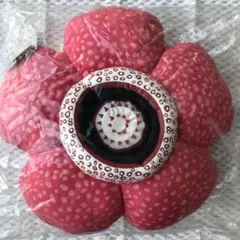 植物展　ラフレシアクッション&ラフレシアマグネット 食虫植物》ラフレシア マグネット | greenbreeze