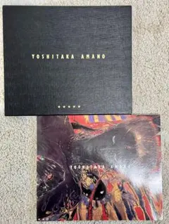 ゆき【直筆イラスト＆サイン本】天野喜孝画集 花天 1994年 2025年最新】天野喜孝 花天の人気アイテム - メルカリ