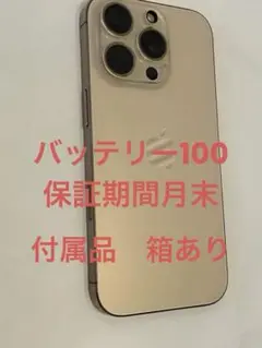 iPhone16pro 256