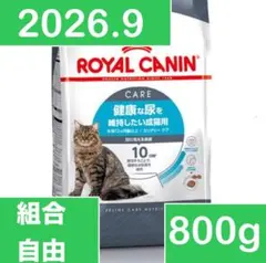 Item thumbnail for item 4726e643-4453-4fc6-b483-9e1e3f47648c