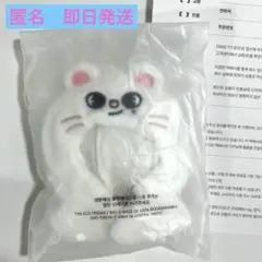 SKZOO 10CM PLUSH OUTFIT - Jiniret