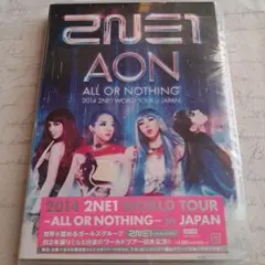 2NE1 ALL OR NOTHING 2014 in JAPAN