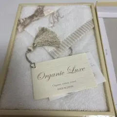 Item thumbnail for item a3010970-ff45-44e6-8b5d-8b2e2e00e73a