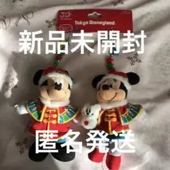 東京ディズニーランド ミッキー ミニー ぬいスト　disney