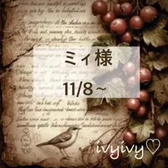 ミィ様11/8⭕️おまとめ用